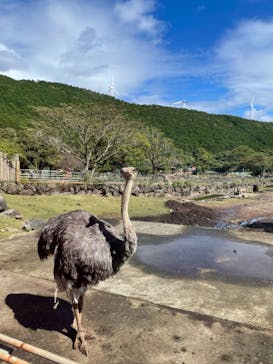 伊豆アニマルキングダムに投稿された画像（2023/10/18）