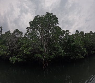 西表島 ADVENTURE PiPi（アドベンチャーピピ）に投稿された画像（2023/10/18）