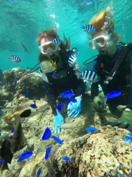 武藤潜水に投稿された画像（2023/10/18）