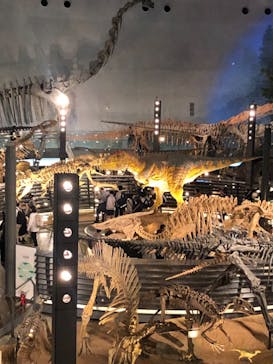 福井県立恐竜博物館に投稿された画像（2023/10/18）