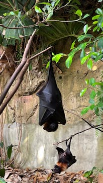 長崎バイオパークに投稿された画像（2023/10/18）