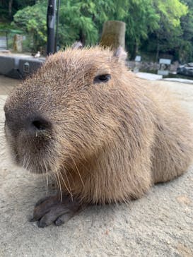 長崎バイオパークに投稿された画像（2023/10/18）