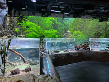 カワスイ 川崎⽔族館に投稿された画像（2023/10/18）