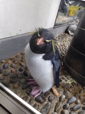 越前松島水族館に投稿された画像（2023/10/18）