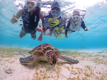 タビワク　宮古島に投稿された画像（2023/10/18）