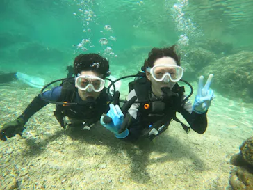 武藤潜水に投稿された画像（2023/10/18）