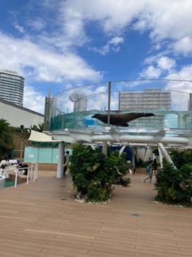 サンシャイン水族館に投稿された画像（2023/10/18）