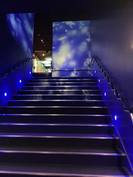 サンシャイン水族館に投稿された画像（2023/10/18）