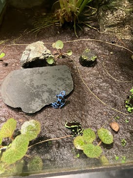 サンシャイン水族館に投稿された画像（2023/10/18）
