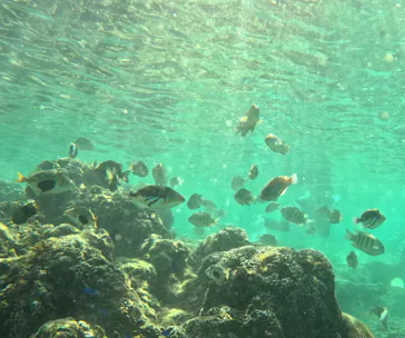 武藤潜水に投稿された画像（2023/10/18）