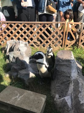 名古屋港水族館に投稿された画像（2023/10/18）