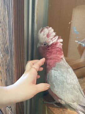 東武動物公園に投稿された画像（2023/10/18）