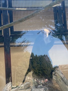 東武動物公園に投稿された画像（2023/10/18）