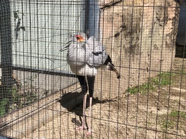 東武動物公園に投稿された画像（2023/10/18）
