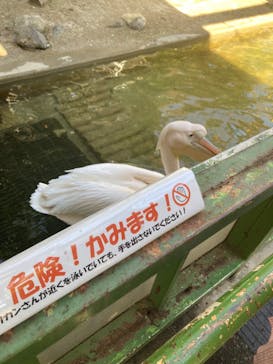 東武動物公園に投稿された画像（2023/10/18）