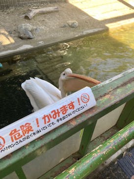 東武動物公園に投稿された画像（2023/10/18）