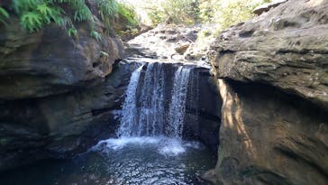 西表島 ADVENTURE PiPi（アドベンチャーピピ）に投稿された画像（2023/10/18）