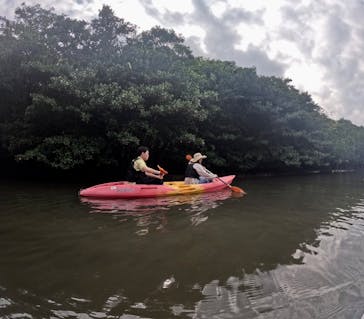 西表島 ADVENTURE PiPi（アドベンチャーピピ）に投稿された画像（2023/10/18）