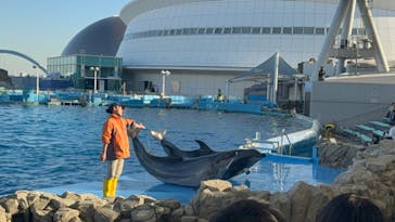 名古屋港水族館に投稿された画像（2023/10/18）