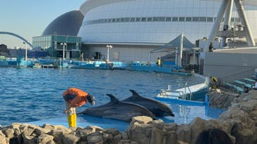 名古屋港水族館に投稿された画像（2023/10/18）