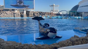 名古屋港水族館に投稿された画像（2023/10/18）