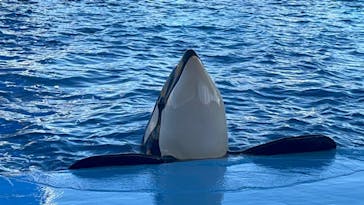 名古屋港水族館に投稿された画像（2023/10/18）