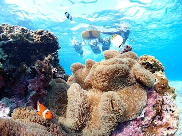 CHAMP TOUR　宮古島に投稿された画像（2023/10/18）