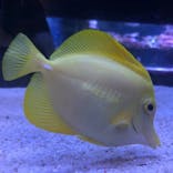 すみだ水族館に投稿された画像（2023/10/18）