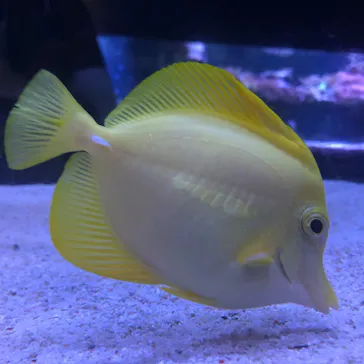 すみだ水族館に投稿された画像（2023/10/18）