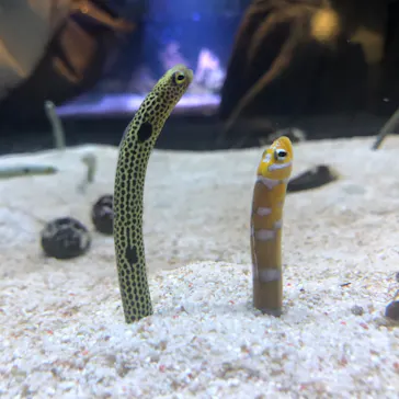 すみだ水族館に投稿された画像（2023/10/18）