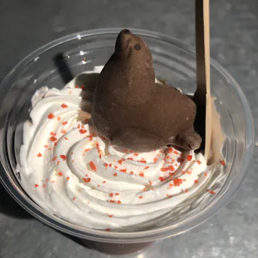 すみだ水族館に投稿された画像（2023/10/18）