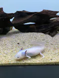 サンシャイン水族館に投稿された画像（2023/10/18）
