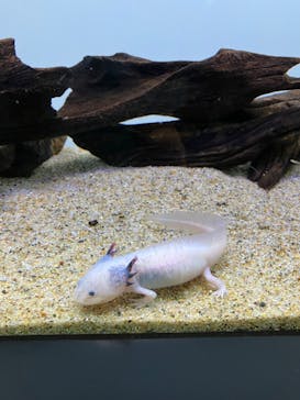 サンシャイン水族館に投稿された画像（2023/10/18）