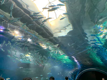 マクセル アクアパーク品川に投稿された画像（2023/10/18）