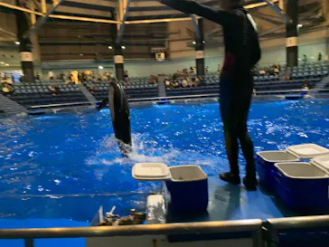 マクセル アクアパーク品川に投稿された画像（2023/10/18）