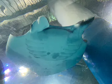 マクセル アクアパーク品川に投稿された画像（2023/10/18）