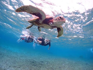 CHAMP TOUR　宮古島に投稿された画像（2023/10/18）