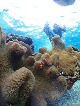 CHAMP TOUR　宮古島に投稿された画像（2023/10/18）