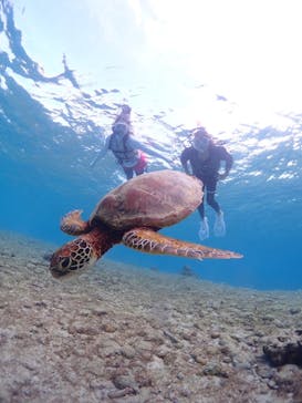 CHAMP TOUR　宮古島に投稿された画像（2023/10/18）