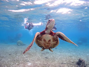 CHAMP TOUR　宮古島に投稿された画像（2023/10/18）