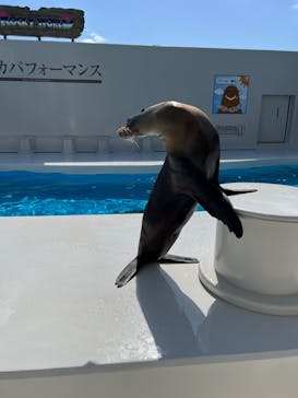 鴨川シーワールドに投稿された画像（2023/10/18）