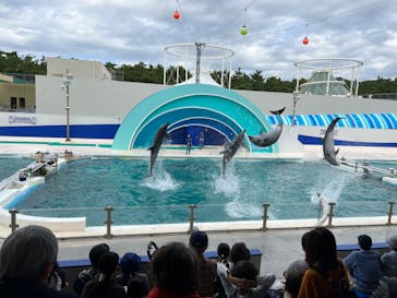 鴨川シーワールドに投稿された画像（2023/10/18）