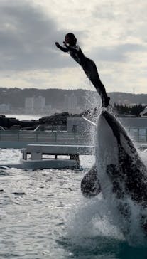 鴨川シーワールドに投稿された画像（2023/10/18）