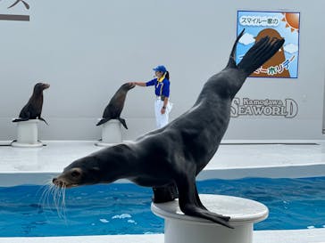 鴨川シーワールドに投稿された画像（2023/10/18）