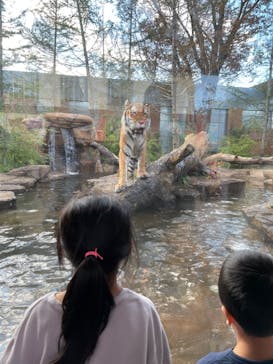 那須どうぶつ王国に投稿された画像（2023/10/18）