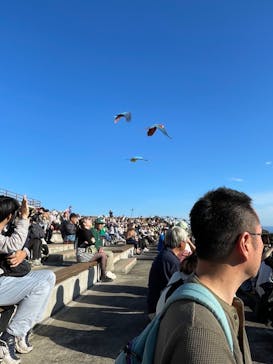 那須どうぶつ王国に投稿された画像（2023/10/18）