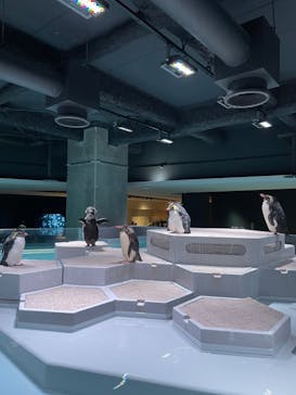 AOAO SAPPOROに投稿された画像（2023/10/18）