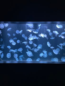 AOAO SAPPOROに投稿された画像（2023/10/18）