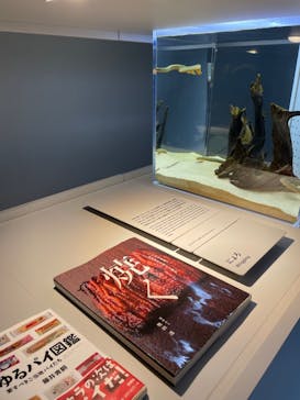 AOAO SAPPOROに投稿された画像（2023/10/18）