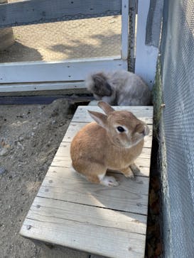 NESTA RESORT KOBE（ネスタリゾート神戸）に投稿された画像（2023/10/18）